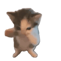 Snowy Cat dancing on the landing page